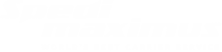 Spedimax Logo
